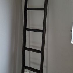 Wooden Bookshelf Ladder 