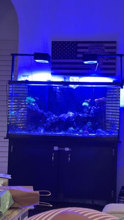 Tank