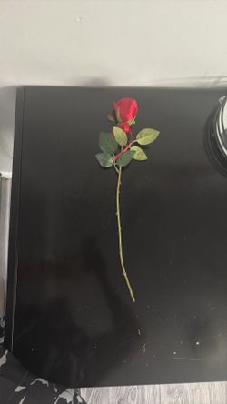 Artificial Rose
