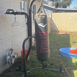 EverLast punching bag