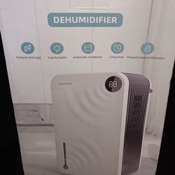 Dehumidifier 