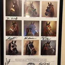Collectible Race Horse 🏇🏻 Trainer-Signed Artwork