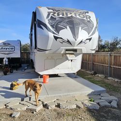 Keystone Raptor 384PK