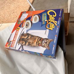 Cat Potty Training 
