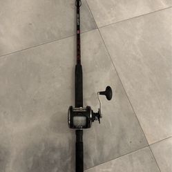 Fishing Rod And Reel Penn Warfare Combo