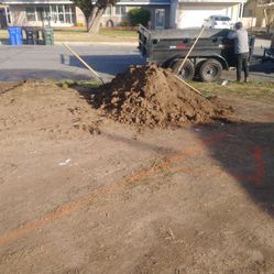 ""FREE DIRT FREE DIRT""