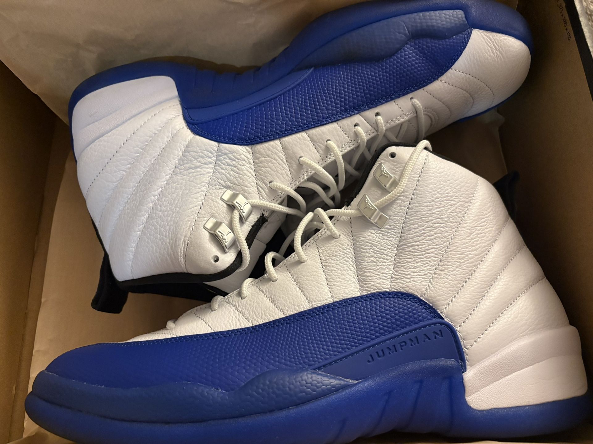 Jordan 12 Blueberries Sz 13