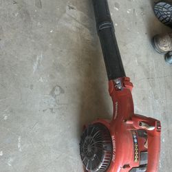 Homelite Leaf Blower 