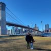 Stella Park