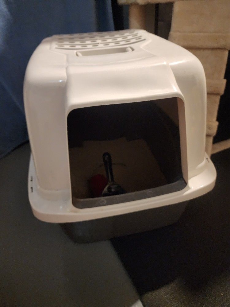 Cat Litter