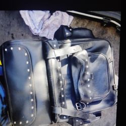 Leather Sissy bar Bags