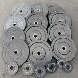 Bumper Weights 