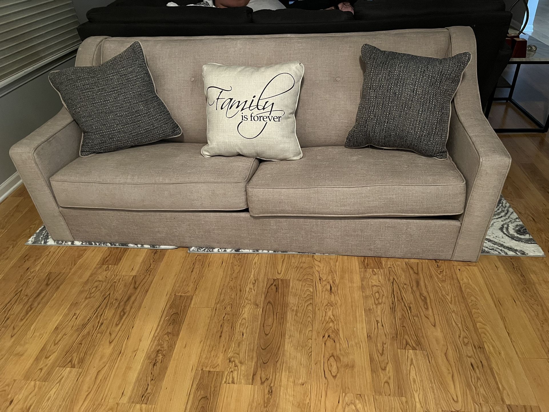 Brand New Sleeper Sofa