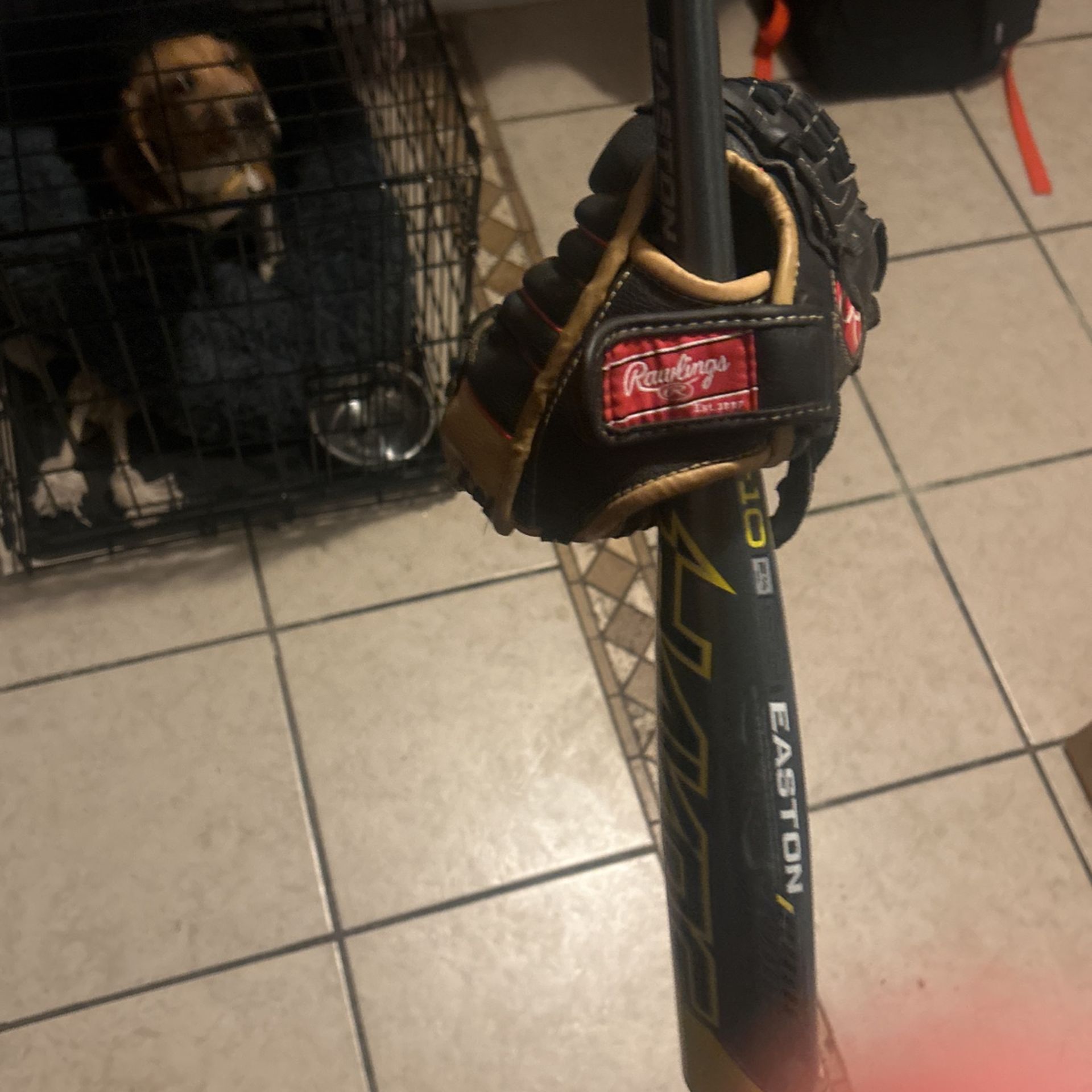 Bat And Glove For Kids