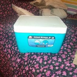 Igloo Cooler