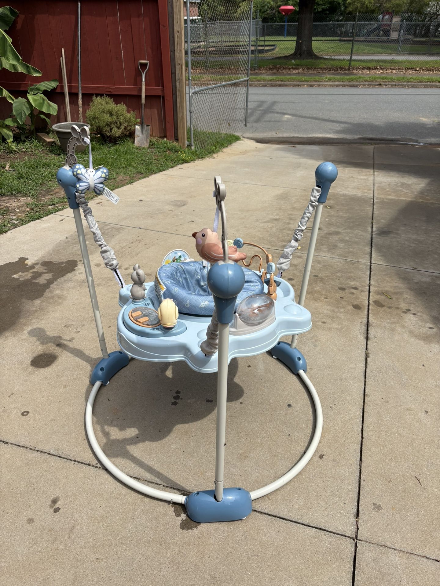 Baby Einstein
