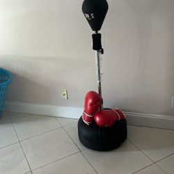 Everlast Reflex Bag With Fila Boxing Gloves