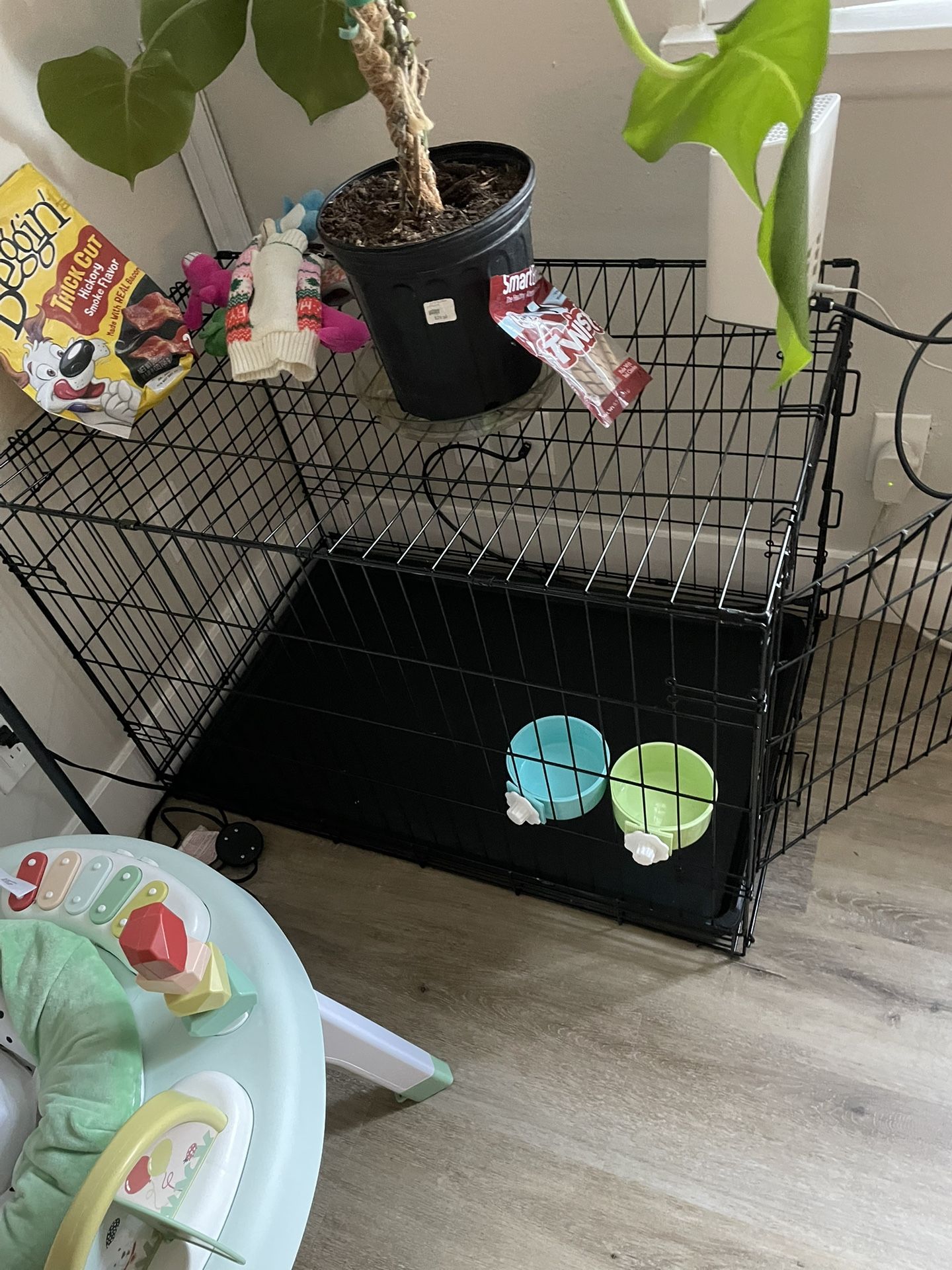Big dog Cage