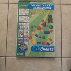 Las Pautas y La Clasificación Flip Chart New Path Learning 