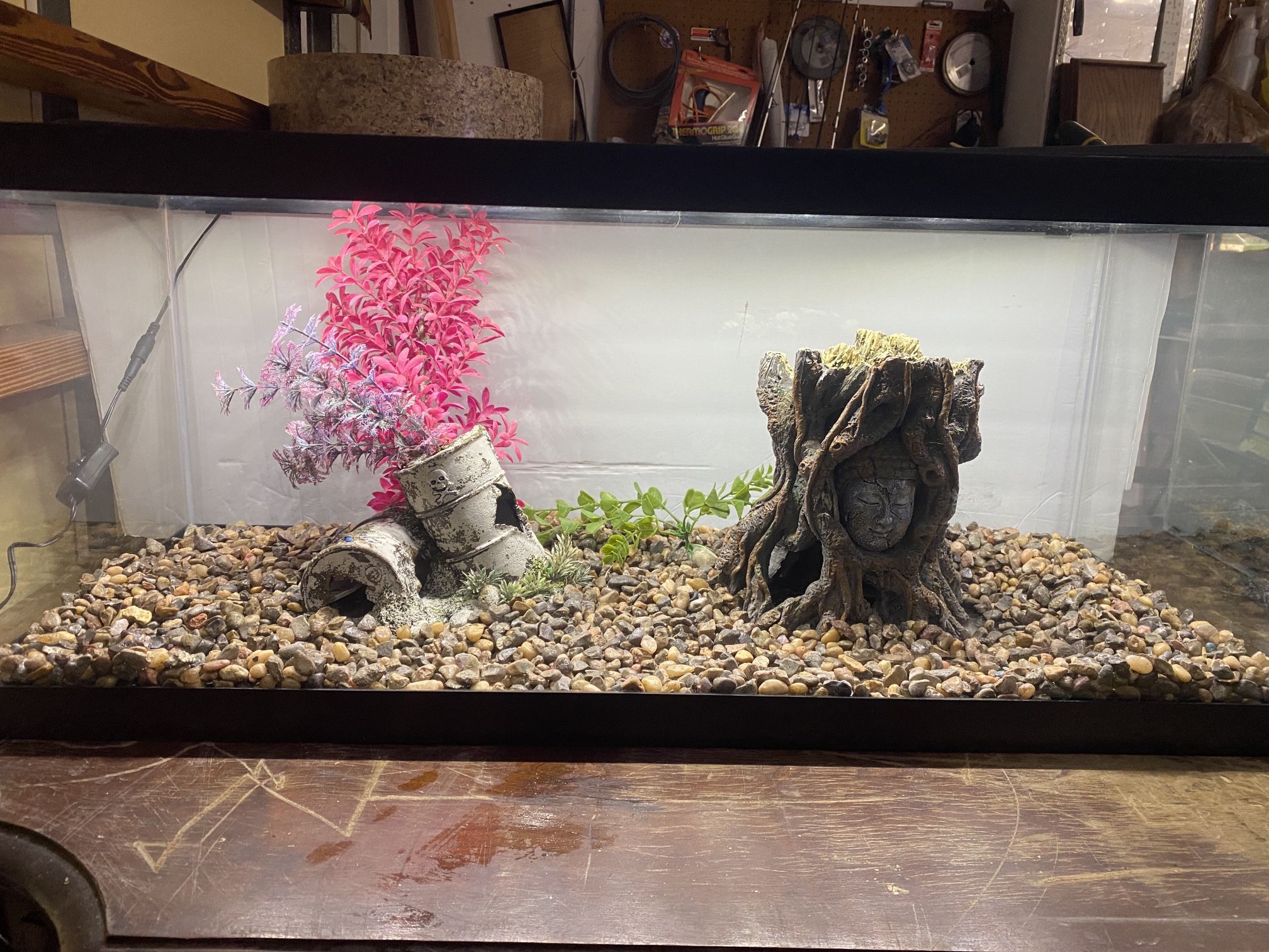 20 Gallon Long Aquarium, Fish Tank With Lid And Lights, Decorations, And Gravel And Filter and heater