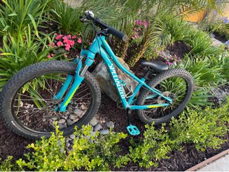 Kids Specialized RipRock mountain bike