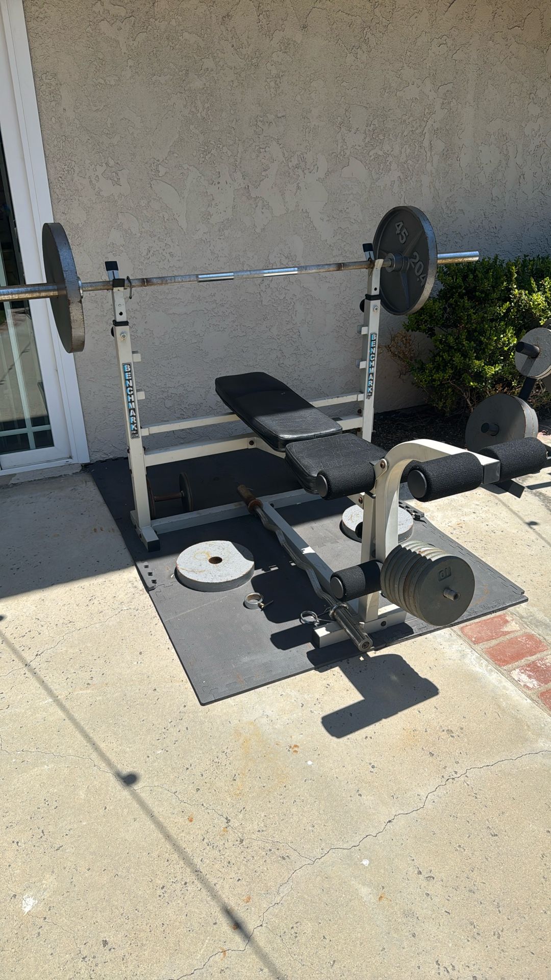 Olympic Weight Bench Set Curl Bar Tree Dumbbells Squat Rack