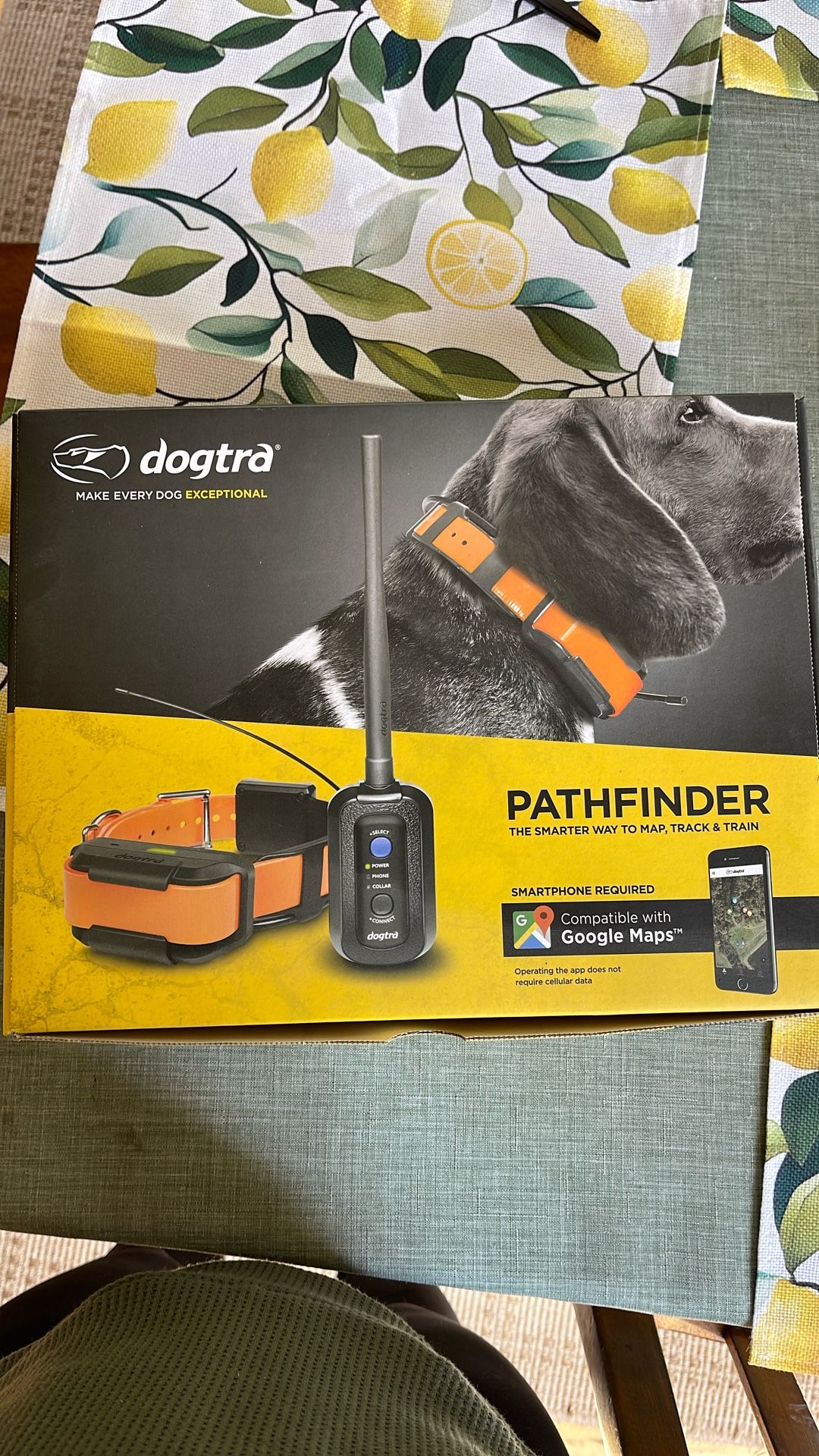 Dogtra GPS Collar