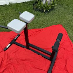 Roman Chair Hyperextension Bench- Abs, Back, Glutes +++
