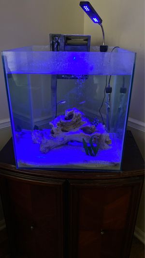 Gjdqnjhfpgp3om https offerup com explore sck mo kansas city fish tanks