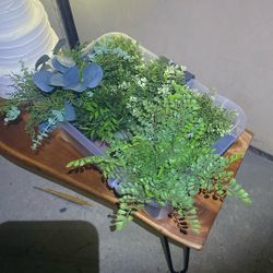 Lot Of Small Faux Plants