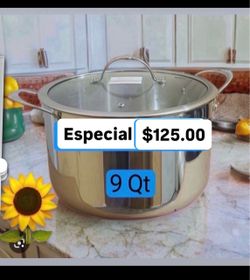Especial ollita Caldero de 9 Qt $125.00 Cosina caldos Sopas de Pollo frijoles Pozole Princess House Ventas Finales
