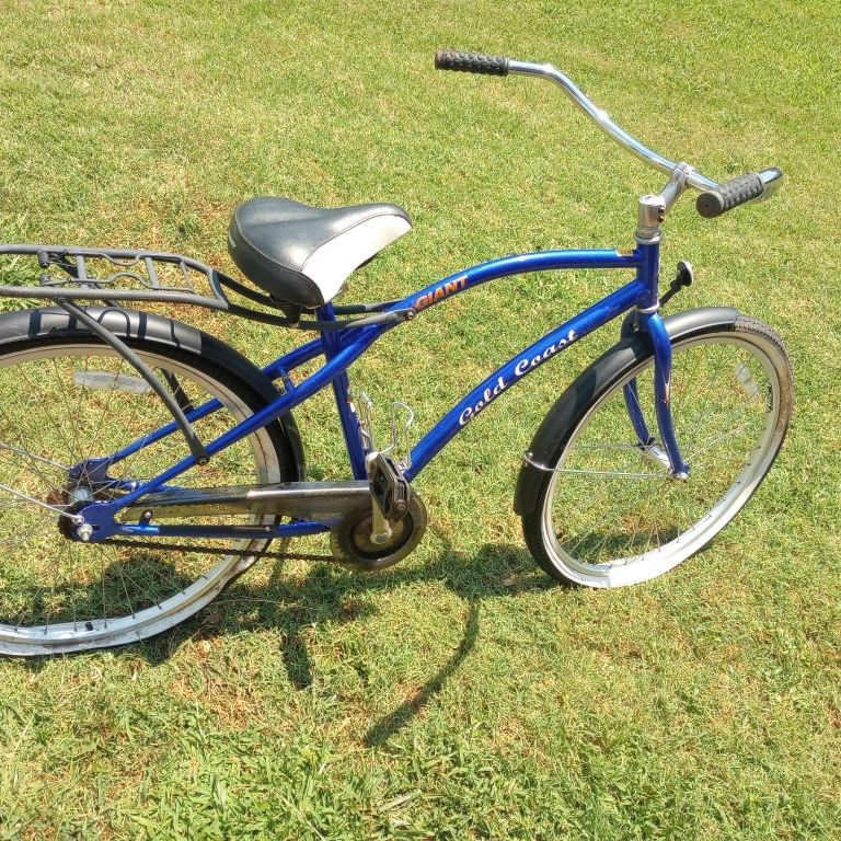 giant gold coast bicycle Roam Disc 2 comfortable upright positioning Giant LIV and Momentum Bikes
