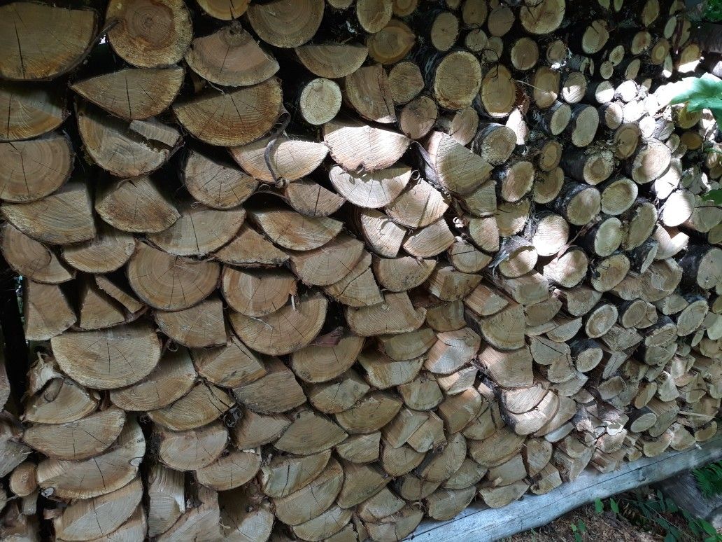 Cherry firewood for Sale in Mount Vernon, WA - OfferUp