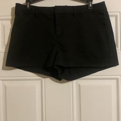 Ladies Shorts 
