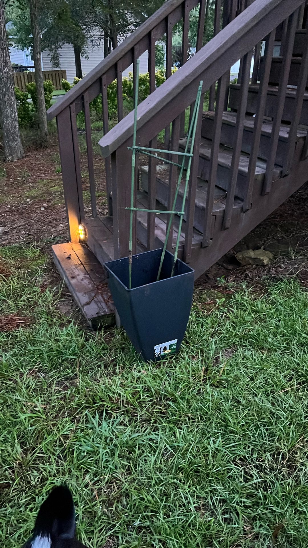 Planter 