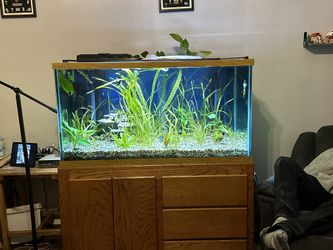 120 Gallon Fish Tank With Custom Base