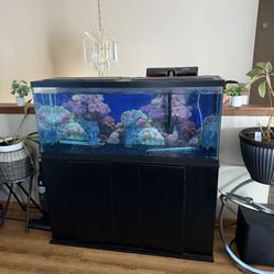 Fish tank