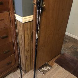 Ski Handles