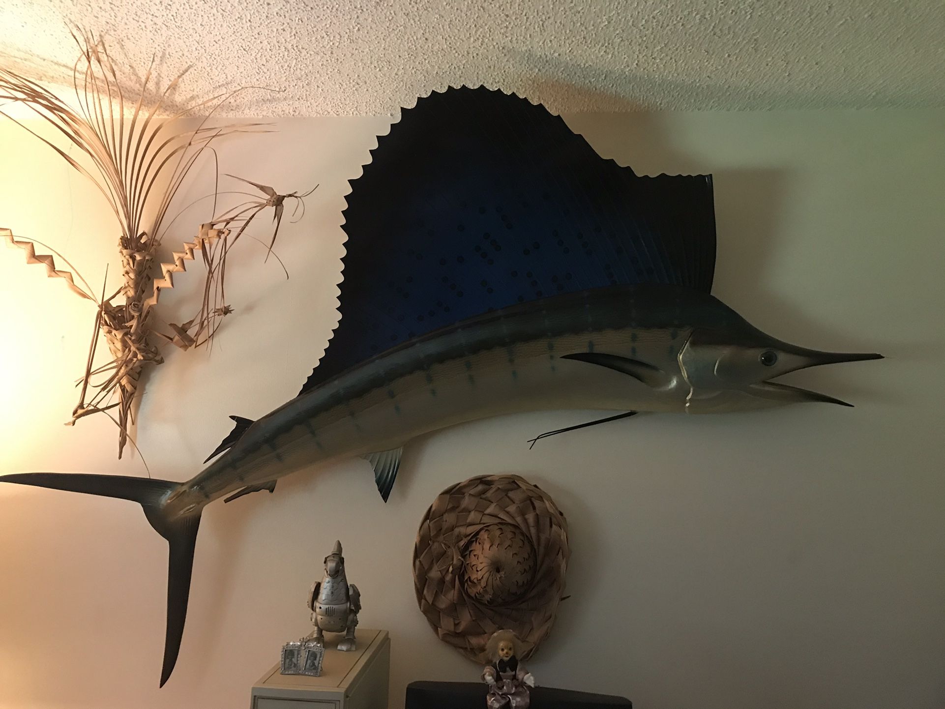 Photo Sailfish