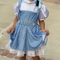 Wizard Of Oz Dorothy Costume Size 6