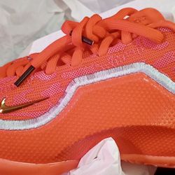 Nike  Swoosh LeBron  23 Men’s   Basketball Shoes  “Shoe Bag”