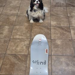 Collector Skateboard Decks $100 + PER DECK.