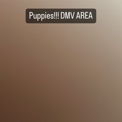 Message me!!