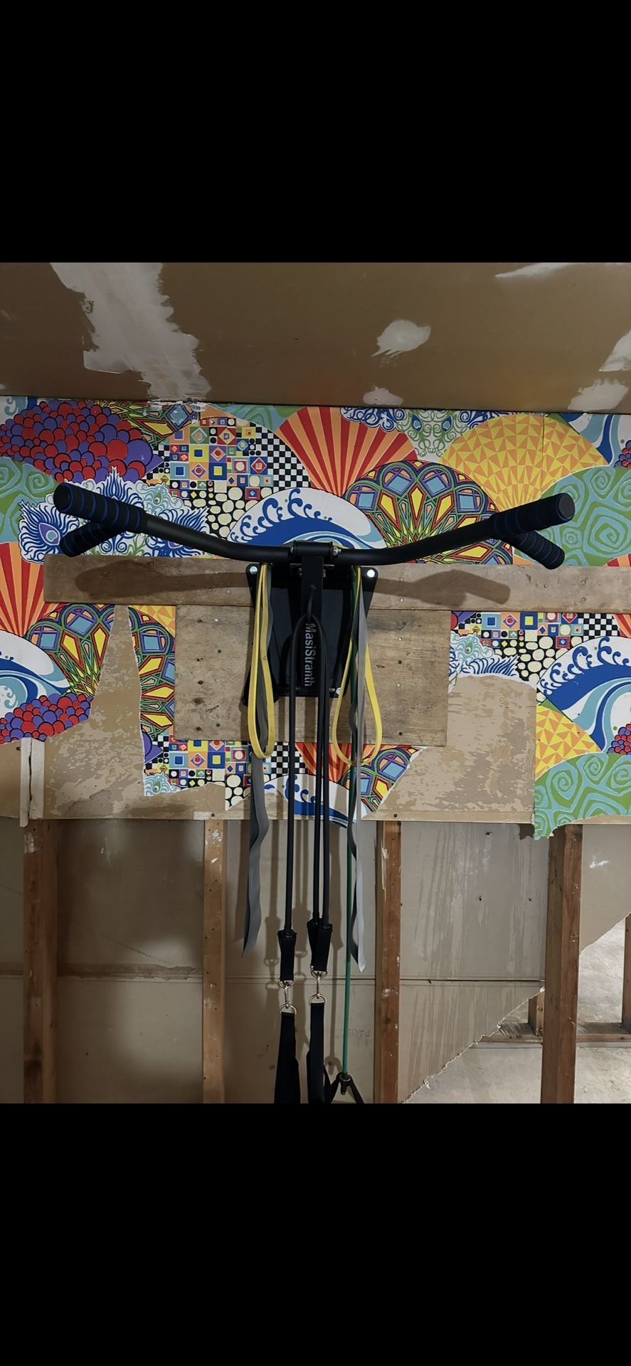 Wall Mounted Pull up Bar