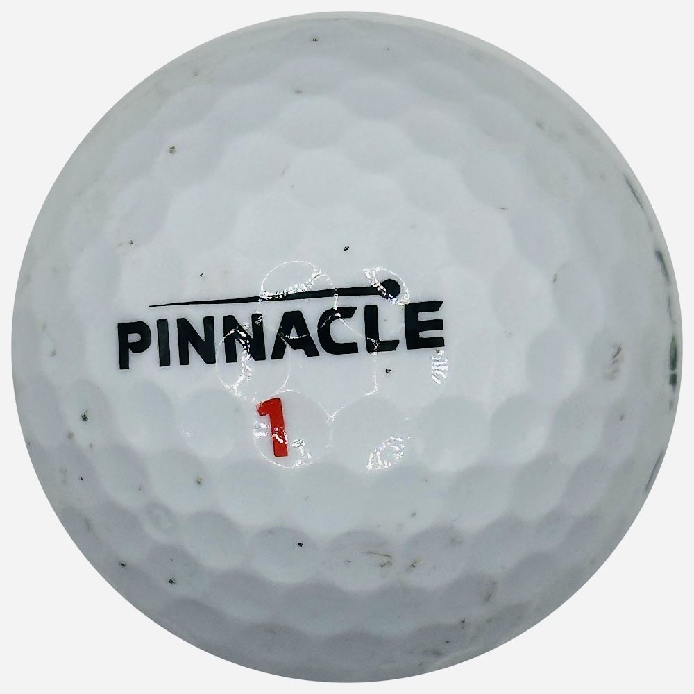 Pinnacle – 45 Used Golf Balls – Great for Practice or Play!