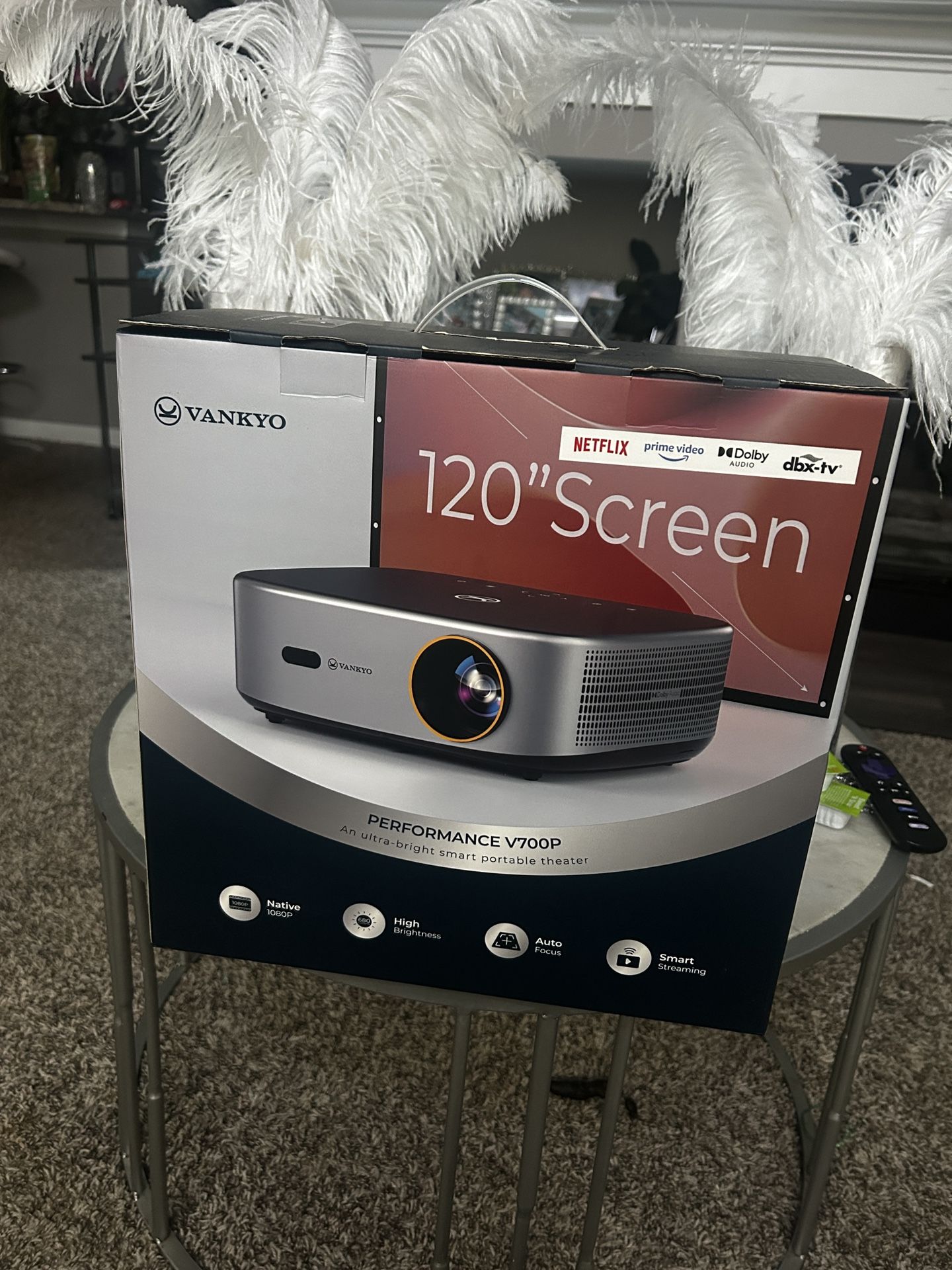 120” SCREEN PROJECTOR