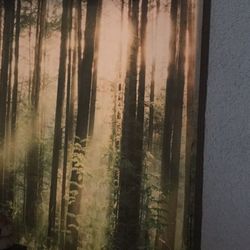 Wall Tapestry