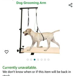 Dog Grooming Table 