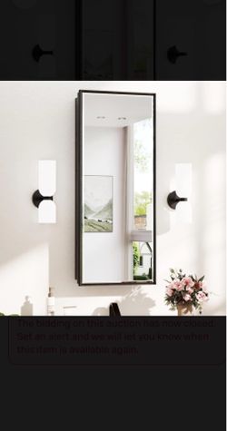 TokeShimi Wall Mounted Medicine Cabinet with mirror
