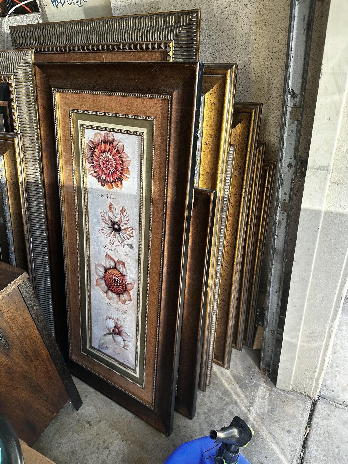 Pictures And Elegant Frames